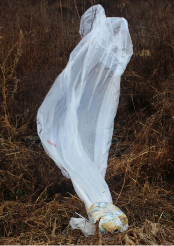 [사진-노동신문 갈무리]