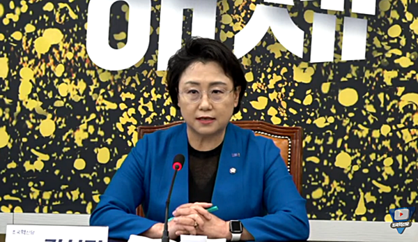 29일 기자간담회를 개최한 김선민 당대표 권한대행. [사진 갈무리-조국혁신당 유튜브]