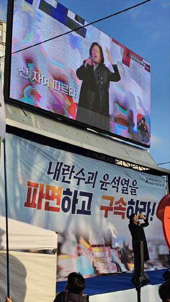 가수 최도은이 공연하고 있다. [사진 - 통일뉴스 하태한 통신원]