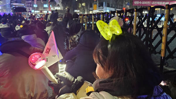 탄핵 나비. [사진 - 통일뉴스 하태한 통신원]