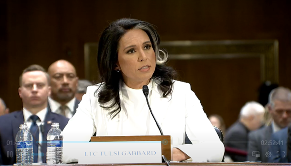 털시 개버드 DNI 지명자. [사진 갈무리-미 상원 정보위]