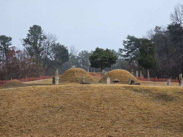 공양왕릉으로 우회하고 [사진제공-통일뉴스백두대간종주대]
