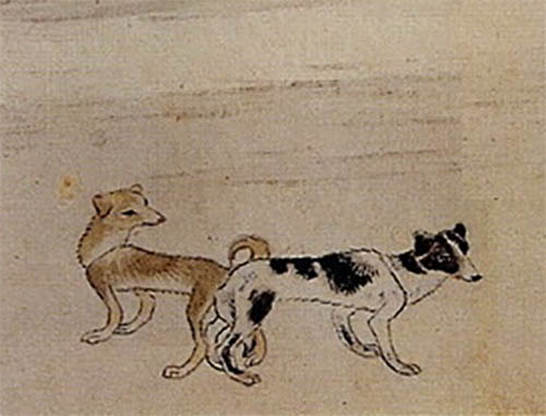 흘레붙은 개를 그렸다. 도덕과 염치가 없으면 짐승이라는 뜻과 두 여인의 욕망과 관계를 개의 형상에 투영한 중의적 표현이다. [사진 제공 – 심규섭]