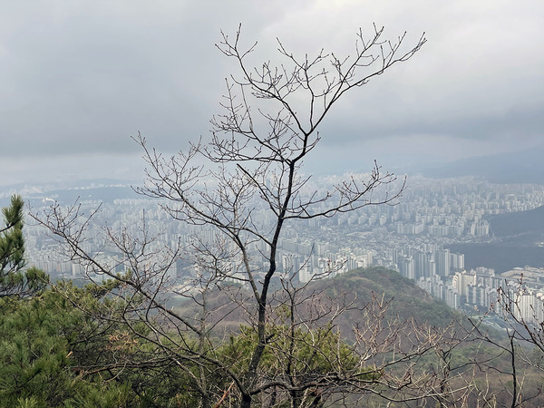 하산길에 바라본 서울의 상계동 전경. [사진제공-615산악회]