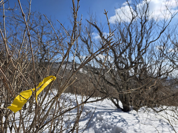 정상에 다 왔는가. [사진제공-통일뉴스백두대간종주대]