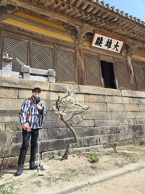 대웅전 앞에 핀 꽃나무와 마음이 더 예쁜 김지영 대원이 봄을 함께 맞이한다. [사진제공-통일뉴스백두대간종주대]