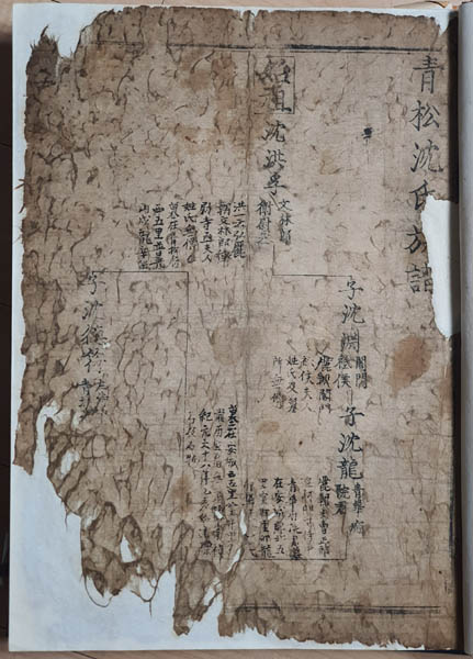 『청송심씨족보』 을사보 첫 장 앞면, 1545년, 목판본, 청송심문 개인소장. [사진 제공 – 이양재]