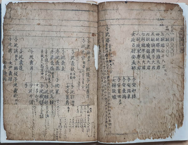 『청송심씨족보』, 목판본, 1545년 을사 초간보 보사(補寫) 부분. 청송심문 구장처(舊藏處)를 추정하게 한다. [사진 제공 – 이양재]