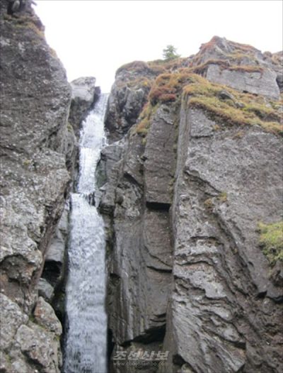 [사진-조선신보 갈무리]