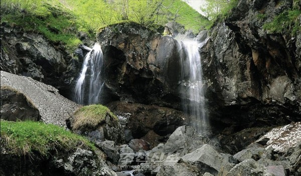 [사진-조선신보 갈무리]