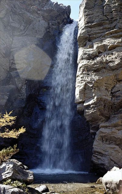 [사진-조선신보 갈무리]