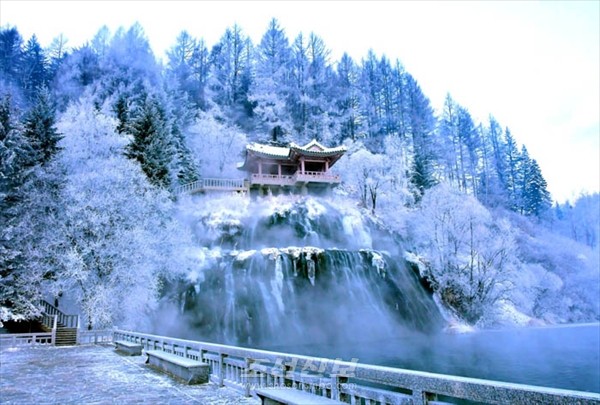 [사진-조선신보 갈무리]