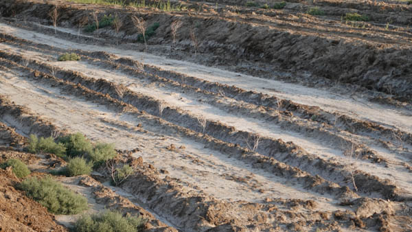 무이낙 인근 농토는 눈으로 확인할 수 있을 정도의 소금모래가 뒤덮고 있다. [사진 제공 - KOICA]
