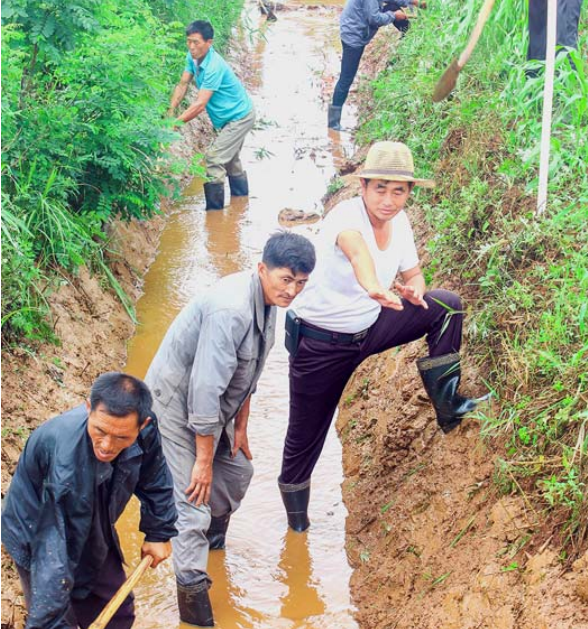황해남도 태탄군 옥암농장에서 장마철 재해방지대책의 일환으로 진행하는 배수로공사. [사진-민주조선]