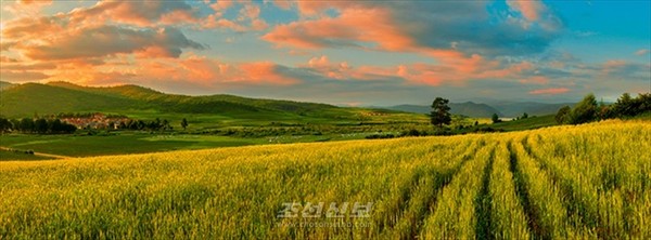 광대축산농장 전경. [사진-조선신보 갈무리]