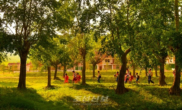 새로 건설된 살림집들. [사진-조선신보 갈무리]