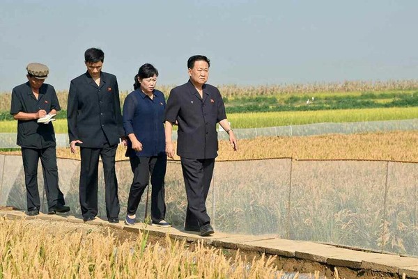 최룡해 상임위원장이 황해남도 재령군 삼지강농장과 황해북도 은파군 대청농장을 현지에서 지도하였다. [사진-노동신문 갈무리]