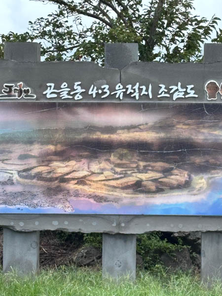 완벽하게 사라진 곤을동 안곳마을. [사진 - 문영임]