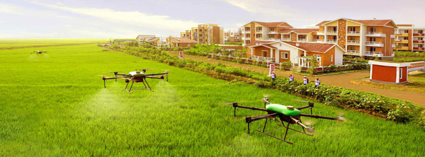 드론을 이용한 영농과정 [사진-노동신문]