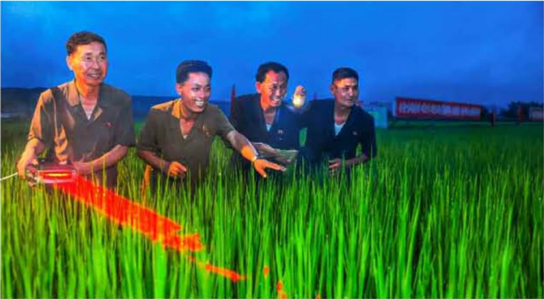 북한에서 농업부문의 과학적 토대가 강화되고 있다며 소개한 사진 [사진-노동신문]