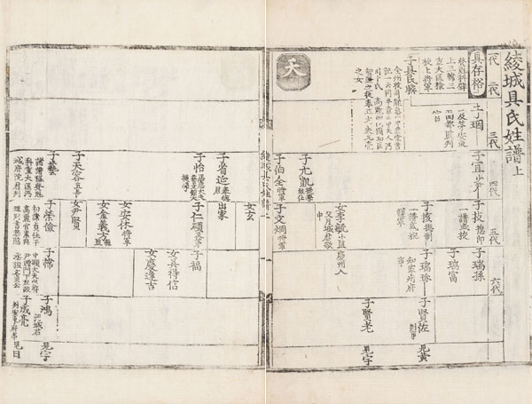 [능성구씨성보(綾城具氏姓譜)], 1576년 초간 병자보, 목판본, 서울대힉교 규장각 소장. [사진 제공 – 이양재]