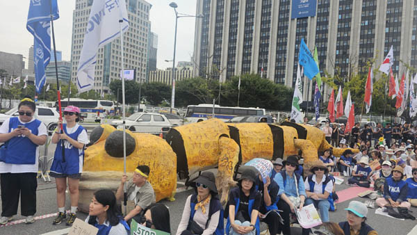 도룡용? [사진 - 통일뉴스 하태한 통신원]