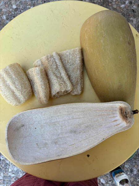 내가 만든 바가지와 수세미. [사진 – 문영임]