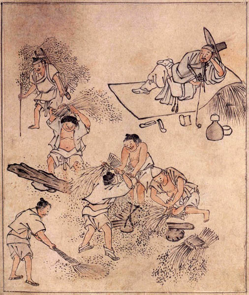 김홍도/벼 타작/종이에 먹과 담채/28cm×23.9cm/조선 18세기 후반/보물 제527호/단원풍속도첩/국립중앙박물관 소장. [사진 제공 - 심규섭]