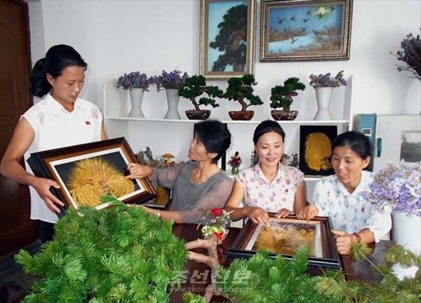 중앙식물원 말린꽃제작소에서. [사진-조선신보 갈무리]