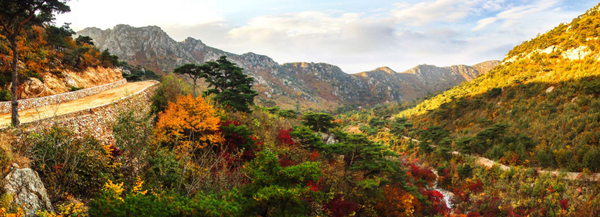 열두굽이골의 가을 [사진-금수강산]