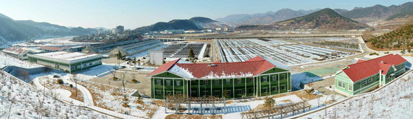 지난해 1월 준공식을 진행한 평양시양묘장 전경. [사진-노동신문 갈무리]