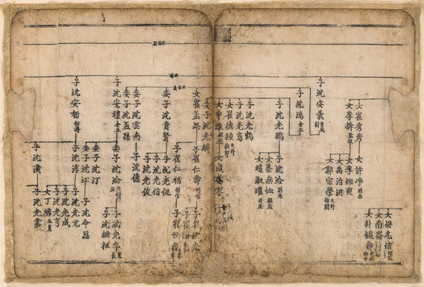 1545년 [청송심씨족보] 을사보, 장5, 목판본. [사진제공 – 이양재]