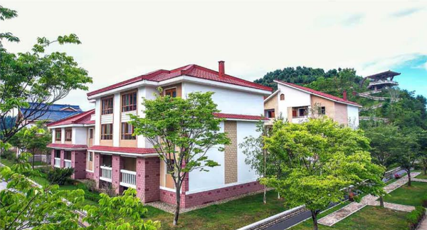 북한에서 농촌 살림집 주변과 도로옆에 느티나무를 대대적으로 심자는 적극적인 독려가 나와 눈길을 끈다. [사진-노동신문] 