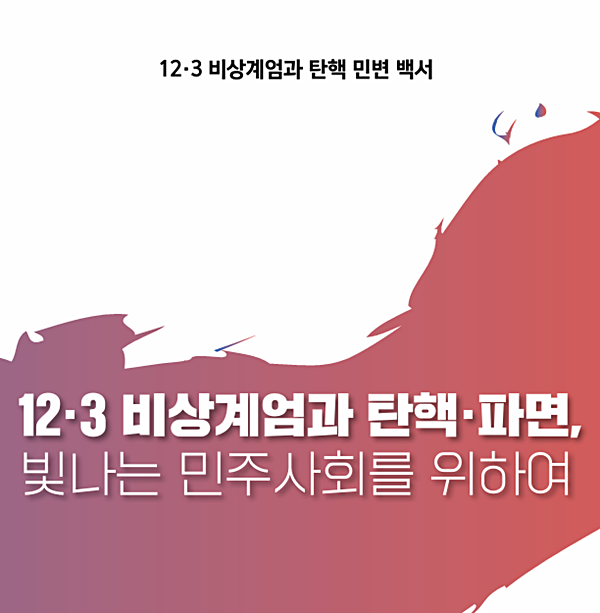 백서 표지 갈무리.