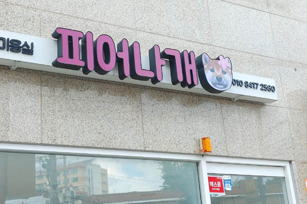 정말 창의적이고 착상이 뛰어난 이름들을 볼 수도 있다. [사진 - 문영임]