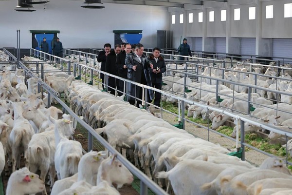 [사진-노동신문]