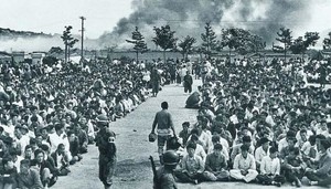 (사)한국사회조사연구소 이미지